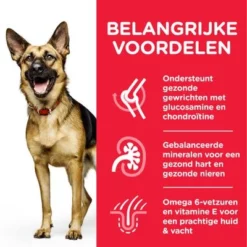 Hill's Science Plan Mature Adult Large Breed Met Kip -Exporteren Bitiba winkel 2 atf8 604371 key benefits 1