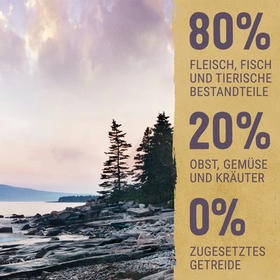 Purizon Senior Kip Met Vis - Graanvrij Hondenvoer 6 Purizon Senior Kip Met Vis - Graanvrij Hondenvoer - Afbeelding 4