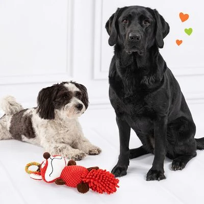 Doglove Hondenspeelgoed Vos 7 Doglove Hondenspeelgoed Vos - Afbeelding 5