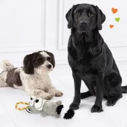 Doglove Hondenspeelgoed Wasbeer -Exporteren Bitiba winkel 303396 edupet doglove hundespielzeug waschbar hs 05 0