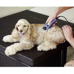 Oster Huisdierentondeuse-Set 220 V -Exporteren Bitiba winkel 314320 oster heimtierschermaschinenset hund 08 2012 5