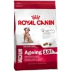Royal Canin Medium Ageing 10+ Hondenvoer 1 Royal Canin Medium Ageing 10+ Hondenvoer -Exporteren Bitiba winkel 314634 royalmediumageing3 0