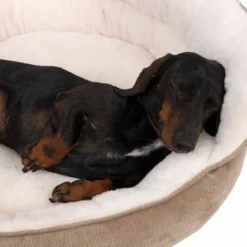 TIAKI Hondenbed Throne -Exporteren Bitiba winkel 317996 tiaki hundebett throne hs 20 2