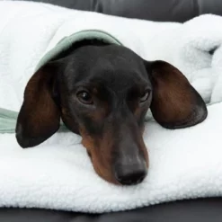 Modern Living Hondendeken Victoria -Exporteren Bitiba winkel 318002 decke victoria fg 6055 4