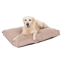 TIAKI Hondenmatras Memory Foam, Beige 20 TIAKI Hondenmatras Memory Foam, Beige -Exporteren Bitiba winkel 318698 mit hund fg 5093 8
