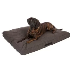 TIAKI Hondenmatras Memory Foam, Bruin -Exporteren Bitiba winkel 318702 mit hund fg 5116 0