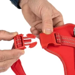 TIAKI Tuig Neopreen, Rood -Exporteren Bitiba winkel 323006 neoprene geschirr xl fg 1475 7