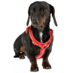 TIAKI Tuig Neopreen, Rood -Exporteren Bitiba winkel 323397 neoprene geschirr s fg 1487 1