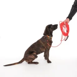 TIAKI Neo Comfort Sleeplijn, Rood -Exporteren Bitiba winkel 323596 neo comfort mit hund fg 8003 2