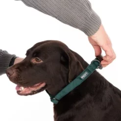 Halsband Nomad Tales Blush Emerald - Groen -Exporteren Bitiba winkel 324698 blush l fg 7151 2