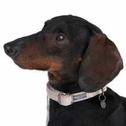 Halsband Nomad Tales Blush, Taupe -Exporteren Bitiba winkel 324699 blush s fg 6993 7