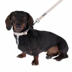 Halsband Nomad Tales Blush, Taupe -Exporteren Bitiba winkel 324699 blush s fg 6996 2