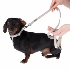 Halsband Nomad Tales Blush, Taupe -Exporteren Bitiba winkel 324699 blush s fg 7002 7