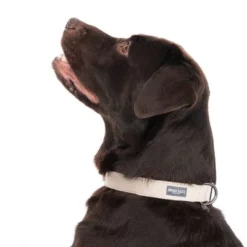 Halsband Nomad Tales Blush, Taupe -Exporteren Bitiba winkel 324701 blush l fg 7179 6