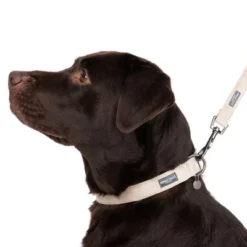 Halsband Nomad Tales Blush, Taupe -Exporteren Bitiba winkel 324701 blush l fg 7186 7