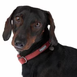 Halsband Nomad Tales Blush, Rosé -Exporteren Bitiba winkel 324707 blush s fg 7010 1