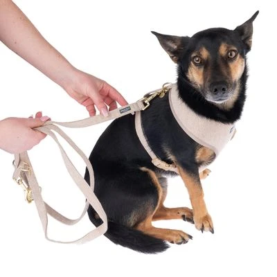 Nomad Tales Calma Hondenriem, Sand 13 Nomad Tales Calma Hondenriem, Sand - Afbeelding 11