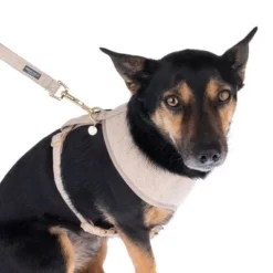 Nomad Tales Calma Tuig, Sand -Exporteren Bitiba winkel 324713 calma fg 7810 8