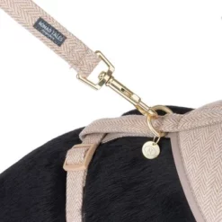 Nomad Tales Calma Hondenriem, Sand 26 Nomad Tales Calma Hondenriem, Sand -Exporteren Bitiba winkel 324713 calma fg 7811 0 1