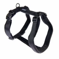 Hondentuig Nomad Tales Blush, Ebony