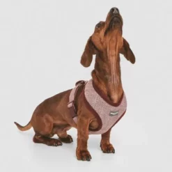 Nomad Tales Calma Tuig, Burgundy -Exporteren Bitiba winkel 324717 nomad tales calma burgundy 02 4