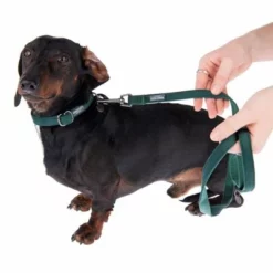 Halsband Nomad Tales Blush Emerald - Groen -Exporteren Bitiba winkel 324796 blush s fg 6978 7