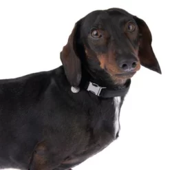 Halsband Nomad Tales Blush, Ebony -Exporteren Bitiba winkel 324897 blush s fg 7023 5