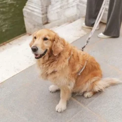 Hondenriem Nomad Tales Blush, Taupe -Exporteren Bitiba winkel 325296 325297 nomad tales blush hundeleine taupe hs 07 1