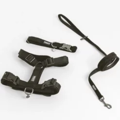 Hondentuig Nomad Tales Blush, Ebony -Exporteren Bitiba winkel 325399 nomad tales blush geschirr ebony 02 9