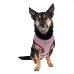 Nomad Tales Calma Tuig, Burgundy -Exporteren Bitiba winkel 325599 calma fg 7759 9