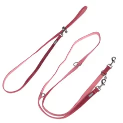 Hondenriem Nomad Tales Blush, Rosé 22 Hondenriem Nomad Tales Blush, Rosé -Exporteren Bitiba winkel 325600 325601 nomad tales blush hundeleine rose fg 1403 6