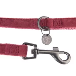 Hondenriem Nomad Tales Blush, Rosé 23 Hondenriem Nomad Tales Blush, Rosé -Exporteren Bitiba winkel 325600 nomad tales blush hundeleine rose fg 1406 5