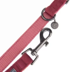 Hondenriem Nomad Tales Blush, Rosé 26 Hondenriem Nomad Tales Blush, Rosé -Exporteren Bitiba winkel 325601 nomad tales blush hundeleine rose fg 1398 4