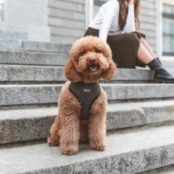 Nomad Tales Calma Tuig, Ebony 24 Nomad Tales Calma Tuig, Ebony -Exporteren Bitiba winkel 325796 nomad tales calma ebony 01 5