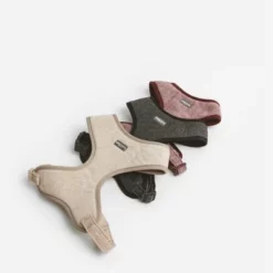 Nomad Tales Calma Tuig, Burgundy -Exporteren Bitiba winkel 325796 nomad tales calma ebony 05 5 2