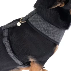 Nomad Tales Calma Tuig, Ebony 31 Nomad Tales Calma Tuig, Ebony -Exporteren Bitiba winkel 325898 calma fg 7835 1