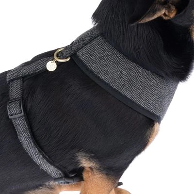 Nomad Tales Calma Tuig, Ebony 12 Nomad Tales Calma Tuig, Ebony - Afbeelding 10