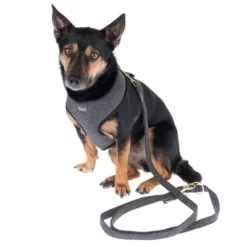 Nomad Tales Calma Tuig, Ebony 38 Nomad Tales Calma Tuig, Ebony -Exporteren Bitiba winkel 325898 calma fg 7844 5