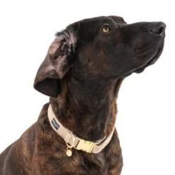 Nomad Tales Calma Halsband, Sand -Exporteren Bitiba winkel 325903 calma l sand fg 7964 0