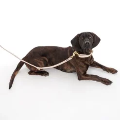 Nomad Tales Calma Halsband, Sand -Exporteren Bitiba winkel 325903 calma l sand fg 7971 5