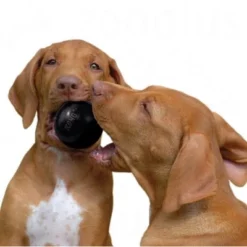 KONG Extreme Ball -Exporteren Bitiba winkel 326029 kong extreme ball hunde 102012 copy 6