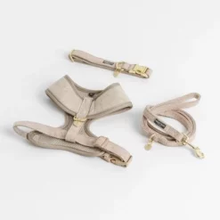 Nomad Tales Calma Tuig, Sand -Exporteren Bitiba winkel 326198 326096 nomad tales calma halsband ebony 01 2