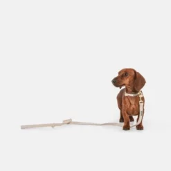 Nomad Tales Calma Halsband, Sand -Exporteren Bitiba winkel 326198 326096 nomad tales calma halsband ebony 02 9