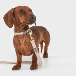 Nomad Tales Calma Halsband, Sand -Exporteren Bitiba winkel 326198 326096 nomad tales calma halsband ebony 03 4