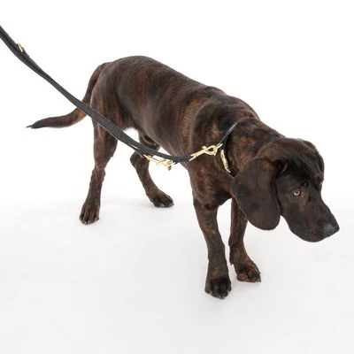 Nomad Tales Calma Halsband, Ebony 15 Nomad Tales Calma Halsband, Ebony - Afbeelding 13