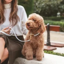 Exporteren Bitiba winkel -Exporteren Bitiba winkel 326806 326197 nomad tales calma halsband stone 03 5