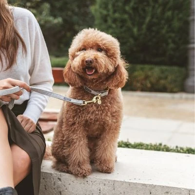 Nomad Tales Calma Halsband, Stone 15 Nomad Tales Calma Halsband, Stone - Afbeelding 13