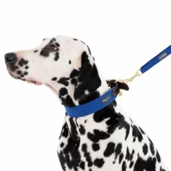 Hondenriem Nomad Tales Bloom, Sapphire -Exporteren Bitiba winkel 326810 328197 bloom l fg 7587 2