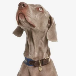 Nomad Tales Bloom Halsband, Sapphire 18 Nomad Tales Bloom Halsband, Sapphire -Exporteren Bitiba winkel 327096 nomad tales bloom halsband sapphire 03 5