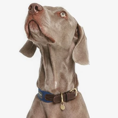 Nomad Tales Bloom Halsband, Sapphire 4 Nomad Tales Bloom Halsband, Sapphire - Afbeelding 2